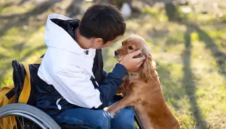 Pet-inclusive Family